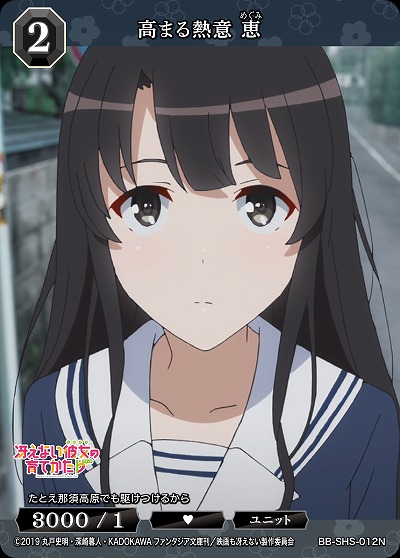 高まる熱意 恵 【BB/SHS/012N】